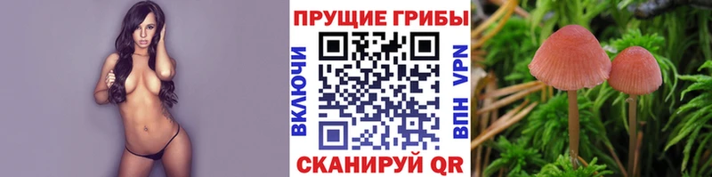 Галлюциногенные грибы Magic Shrooms  ссылка на мегу онион  Еманжелинск 