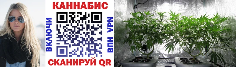 гидра зеркало  Еманжелинск  Каннабис White Widow 
